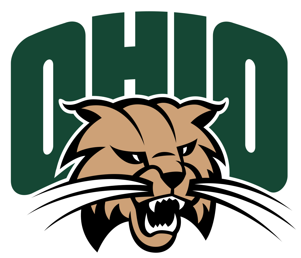 Ohiouniversity